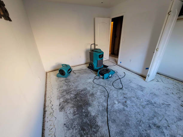 Best Water damage restoration process  in Trenton, MO