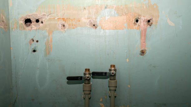 Best 24/7 water damage repair  in Trenton, MO