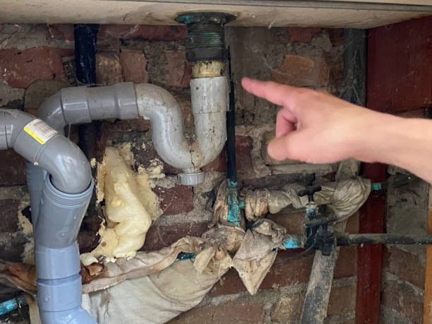 Best Water damage mitigation services  in Trenton, MO