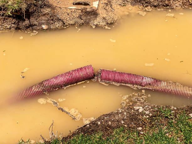 Best Flood damage cleanup  in Trenton, MO